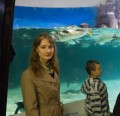 0408-1256 Melbourne aquarium (4085062)